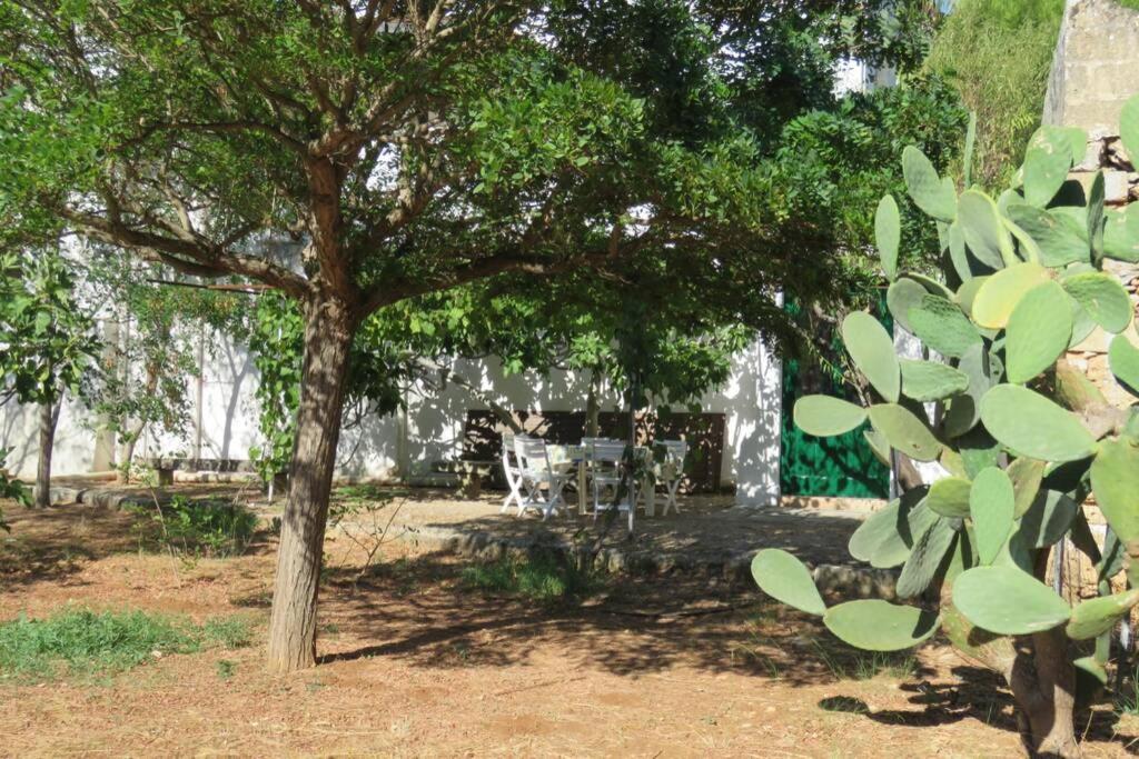 Casa Colonica Villa Галиполи Екстериор снимка