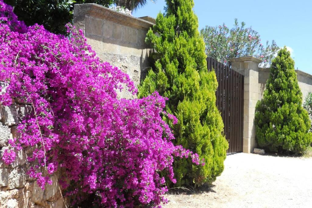 Casa Colonica Villa Галиполи Екстериор снимка